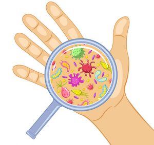 Higiene de manos | Pharmaline