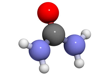 Productos con urea